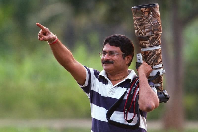 Wildlife Photographer